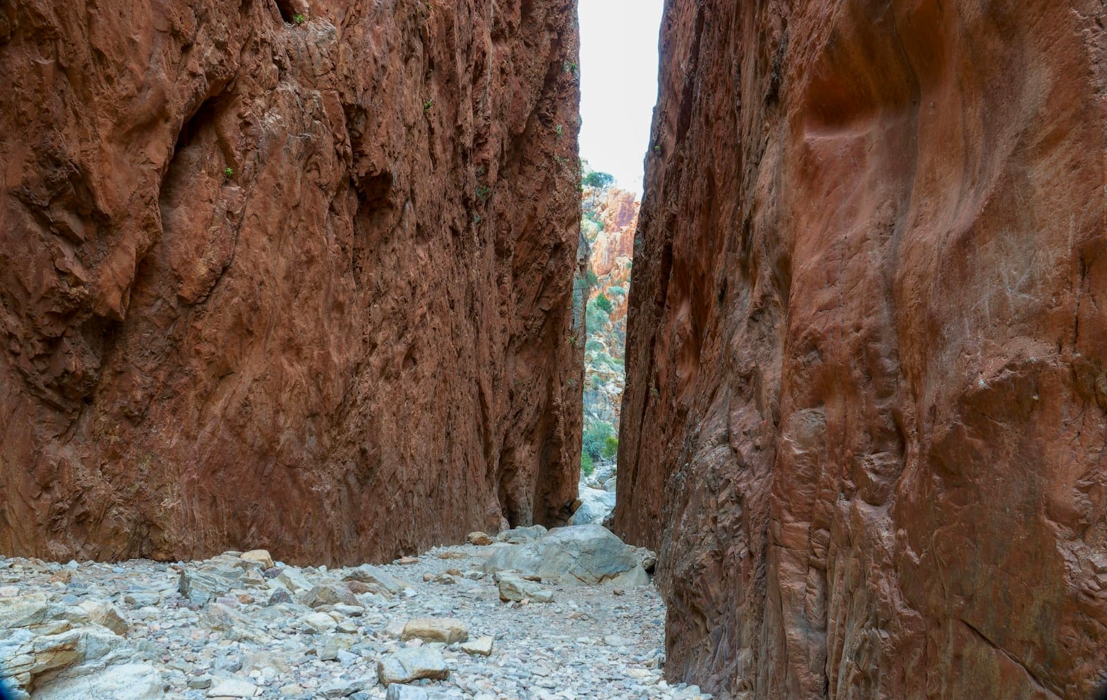 A narrow passage between tall red canyon walls.